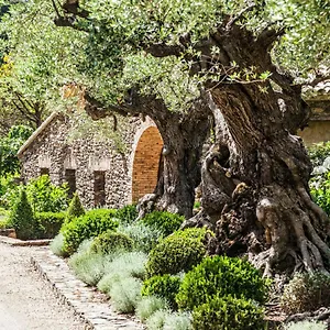 3* Gasthuis Domaine Les Mesanges